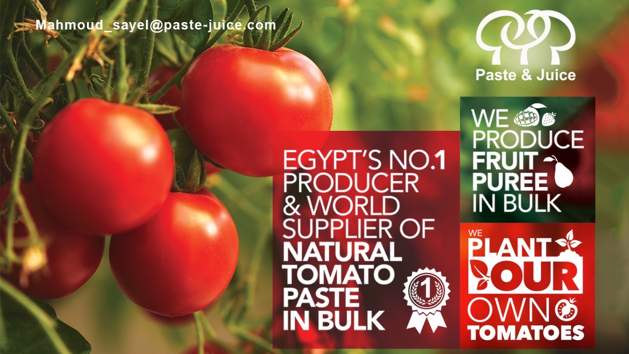 Tomato paste & fruit puree in bulk